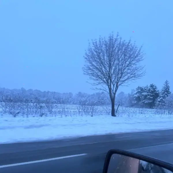 Snow removal at a commercial access route